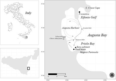The Importance of Dead Seagrass (Posidonia oceanica) <mark class="highlighted">Matte</mark> as a Biogeochemical Sink